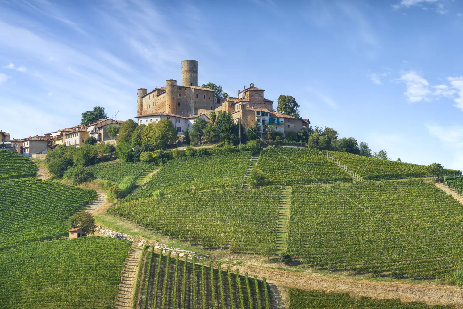 Castiglione Falletto