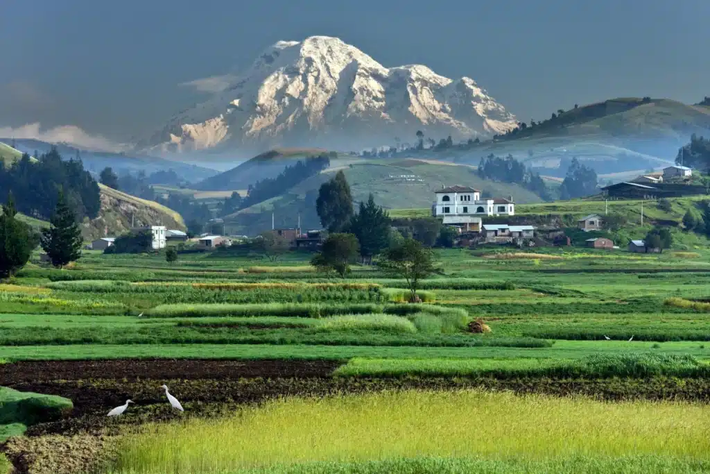 Chimborazo-Ecuador