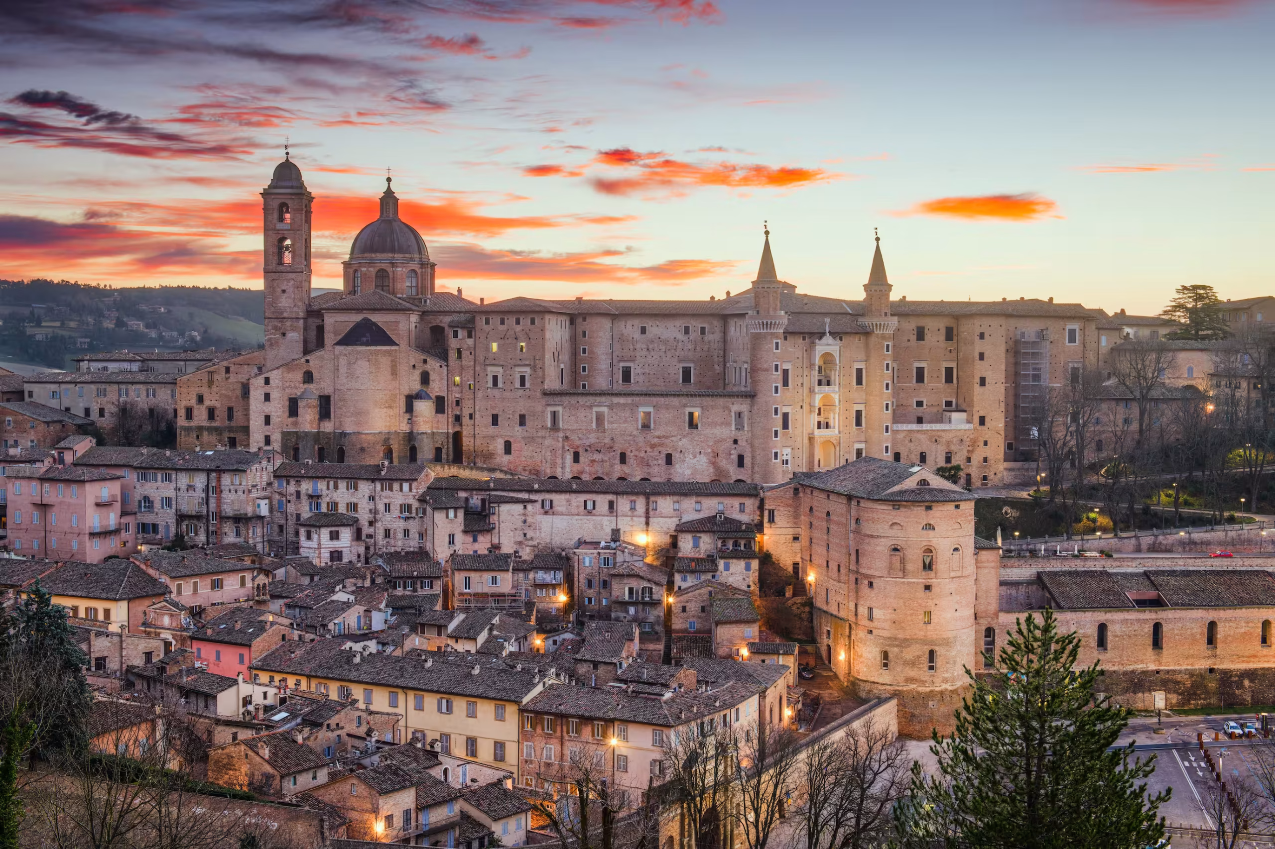 urbino