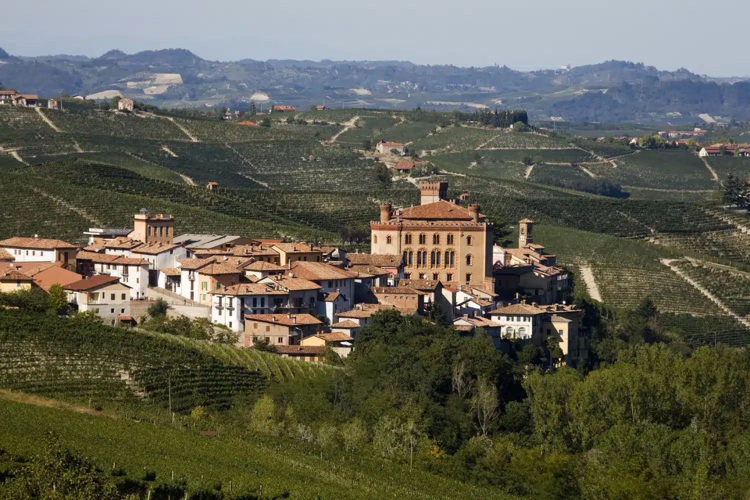 barolo