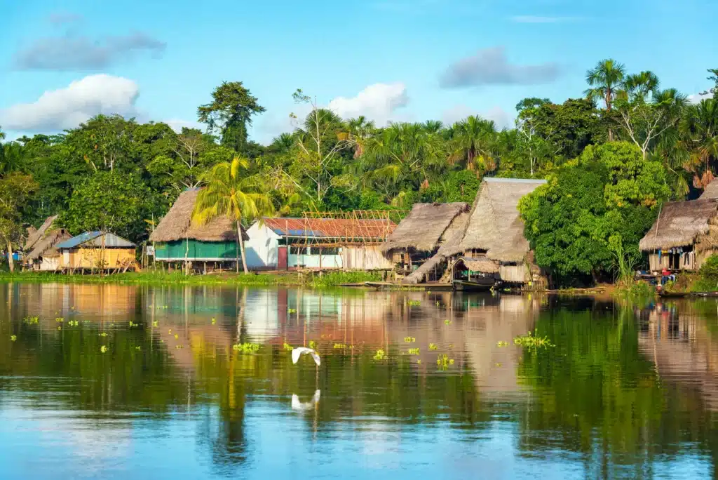 Amazonas