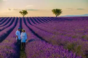 La Provenza francesa
