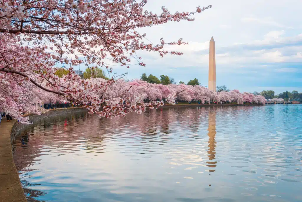 washington-dc-